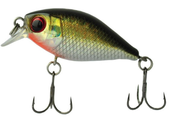 Воблер Mottomo Chubber 36F 36мм, 3,8г #Golden Misty