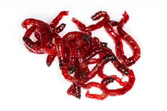 Мотыль кормовой 50г