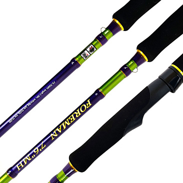 Спиннинг Champion rods Foreman 762L, 230см, 3-14г